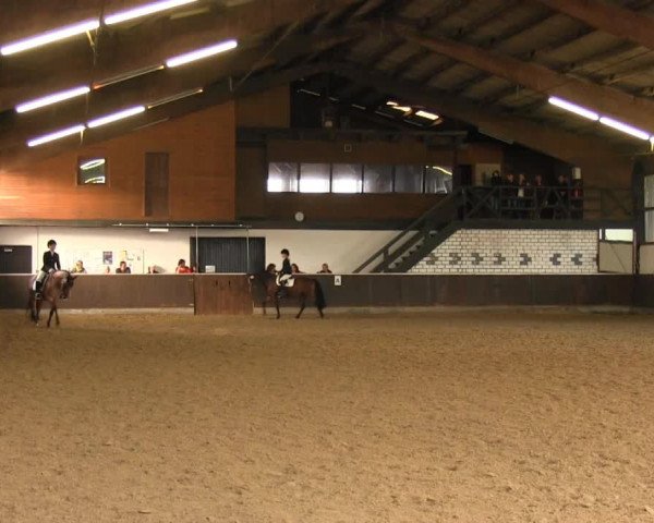 Video of Davignon 20