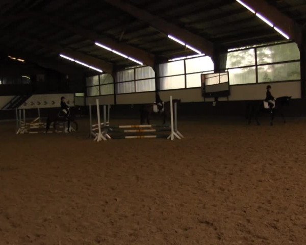 Bühren-Breckerfeld 2013