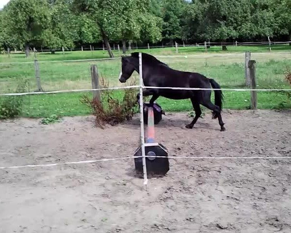 Video von Josefine