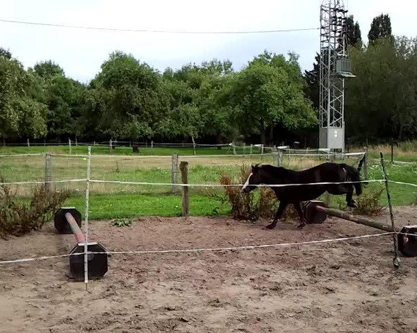 Video von Josefine
