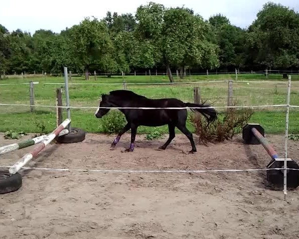Video von Josefine