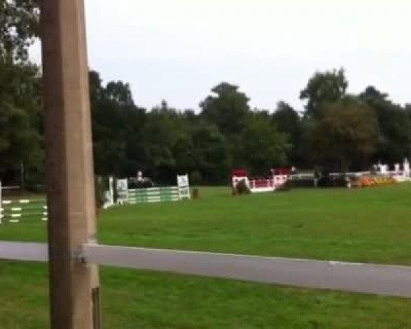 Video of Lumos B