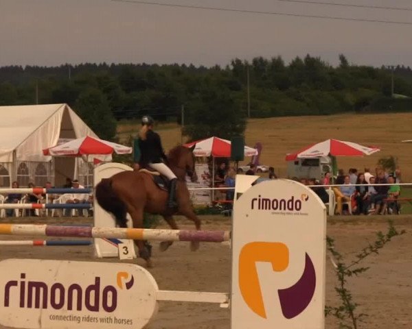 Reitturnier Menden 2013