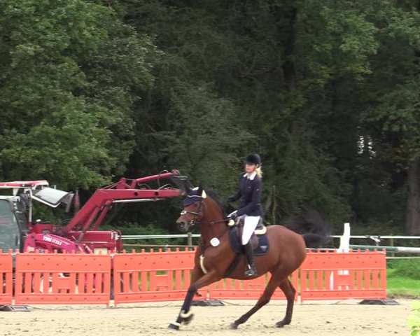 Reitturnier Haltern am See 2021