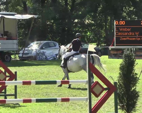 Video of cassandra-w-3