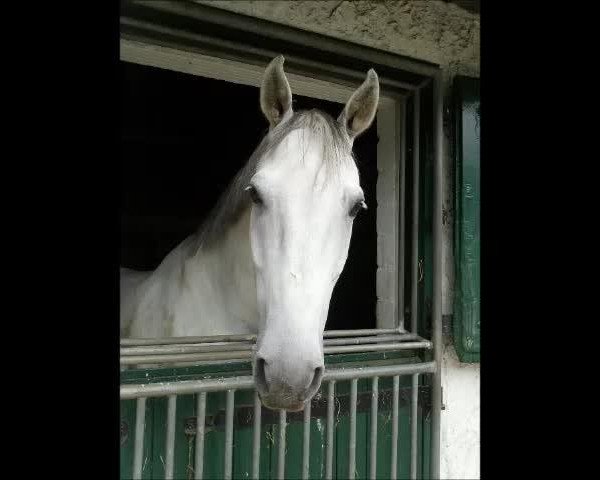 Video of Crack Cool N