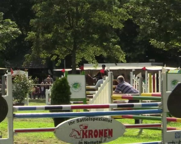 Kevelaer-Wetten 2013 21.07.2013 24 Mannsch.-Springprfg. Kl. A** mit 1 Umlauf und 1 Stechen