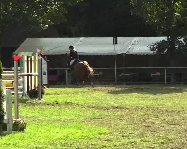 Kevelaer-Wetten 2013 21.07.2013 24 Mannsch.-Springprfg. Kl. A** mit 1 Umlauf und 1 Stechen