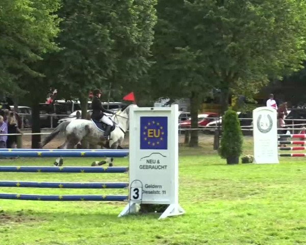 Kevelaer-Wetten 2013 21.07.2013 24 Mannsch.-Springprfg. Kl. A** mit 1 Umlauf und 1 Stechen