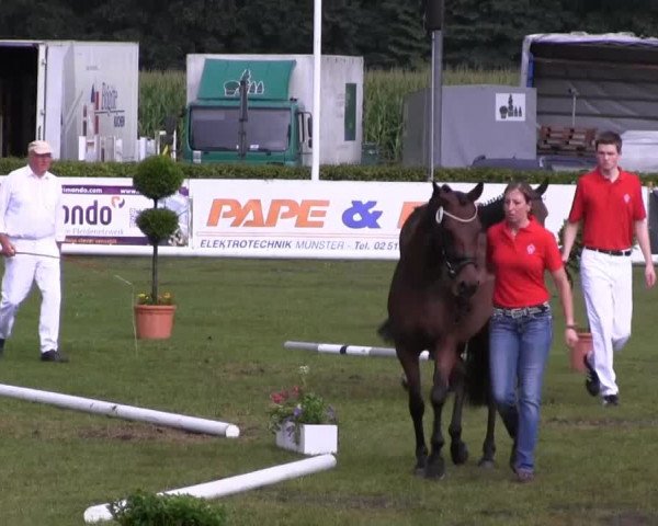 Video of cathina-gold-p