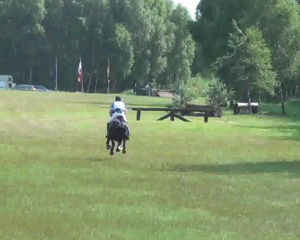 Trakehnerhof Valluhn Vielseitigkeitsturnier
03.-04.08.2013 01 Vielseitigkeitsprüfung KL. A** - Gelände
