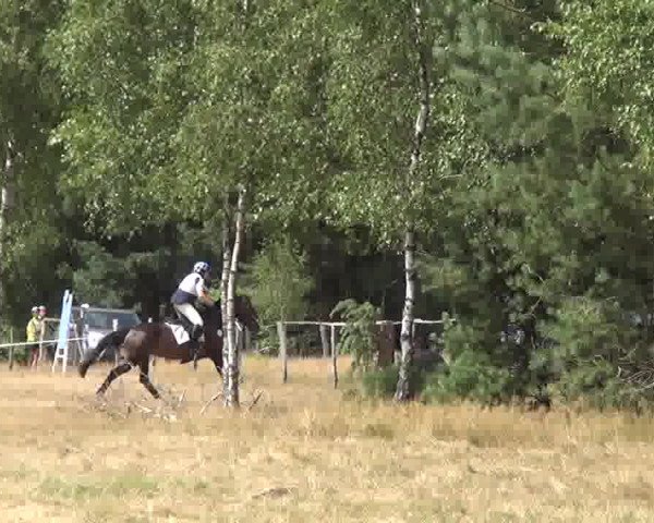 Trakehnerhof Valluhn Vielseitigkeitsturnier
03.-04.08.2013 02 Vielseitigkeitsprüfung KL. L - Gelände