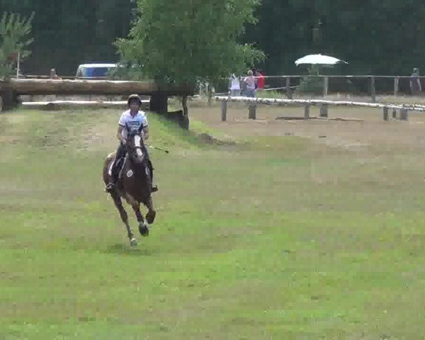Trakehnerhof Valluhn Vielseitigkeitsturnier
03.-04.08.2013 02 Vielseitigkeitsprüfung KL. L - Gelände
