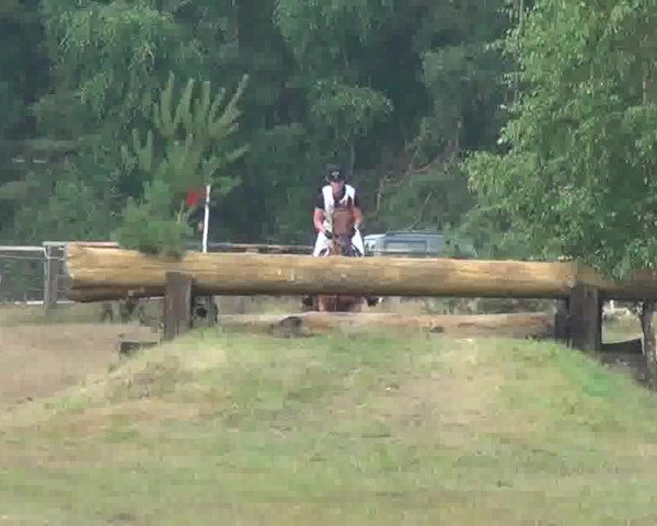Trakehnerhof Valluhn Vielseitigkeitsturnier
03.-04.08.2013 01 Vielseitigkeitsprüfung KL. A** - Gelände
