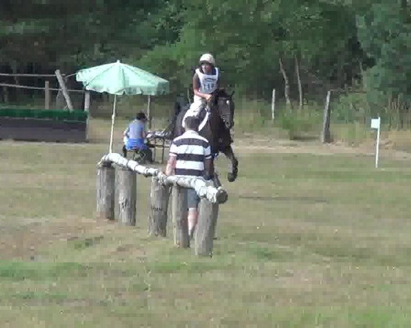 Trakehnerhof Valluhn Vielseitigkeitsturnier
03.-04.08.2013 01 Vielseitigkeitsprüfung KL. A** - Gelände
