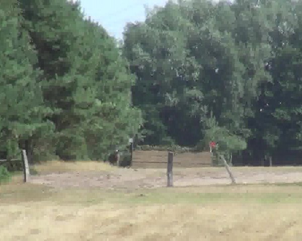 Trakehnerhof Valluhn Vielseitigkeitsturnier
03.-04.08.2013 02 Vielseitigkeitsprüfung KL. L - Gelände
