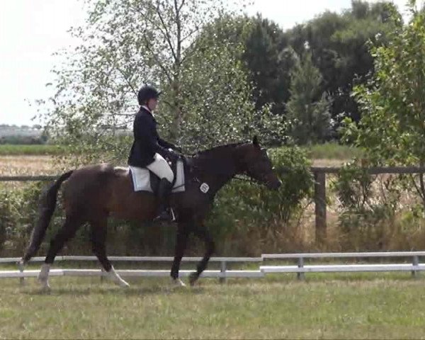 Trakehnerhof Valluhn Vielseitigkeitsturnier
03.-04.08.2013 02 Vielseitigkeitsprüfung KL. L - Dressur
