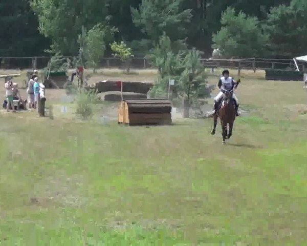 Trakehnerhof Valluhn Vielseitigkeitsturnier
03.-04.08.2013 02 Vielseitigkeitsprüfung KL. L - Gelände
