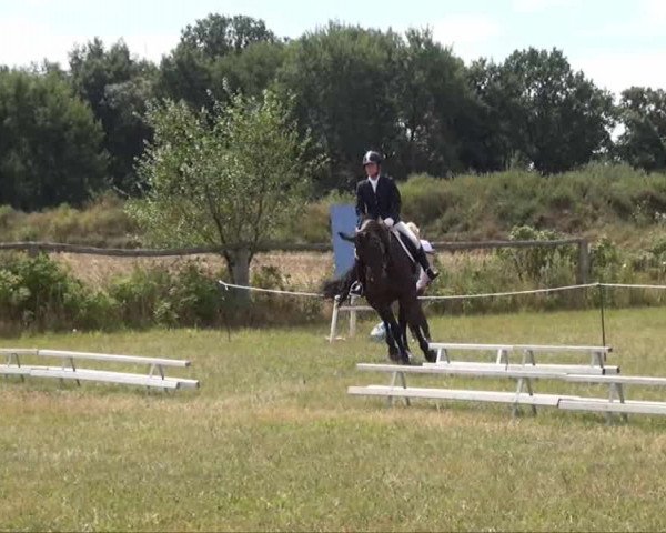 Trakehnerhof Valluhn Vielseitigkeitsturnier
03.-04.08.2013 02 Vielseitigkeitsprüfung KL. L - Dressur
