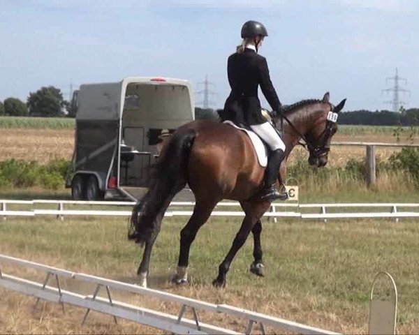 Trakehnerhof Valluhn Vielseitigkeitsturnier
03.-04.08.2013 02 Vielseitigkeitsprüfung KL. L - Dressur
