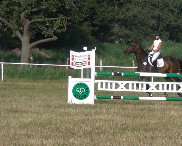 Trakehnerhof Valluhn Vielseitigkeitsturnier
03.-04.08.2013 01 Vielseitigkeitsprüfung KL. A** - Springen