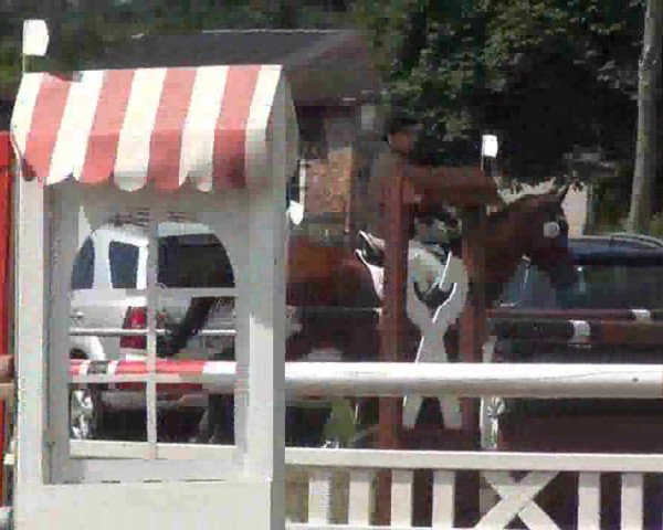Trakehnerhof Valluhn Vielseitigkeitsturnier
03.-04.08.2013 02 Vielseitigkeitsprüfung KL. L - Springen
