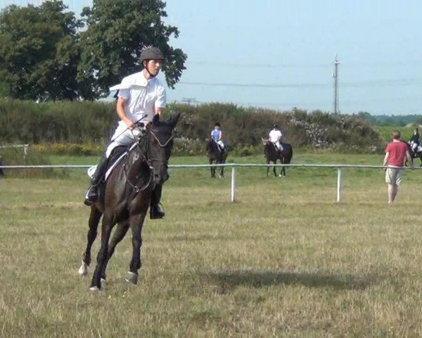 Trakehnerhof Valluhn Vielseitigkeitsturnier
03.-04.08.2013 01 Vielseitigkeitsprüfung KL. A** - Springen