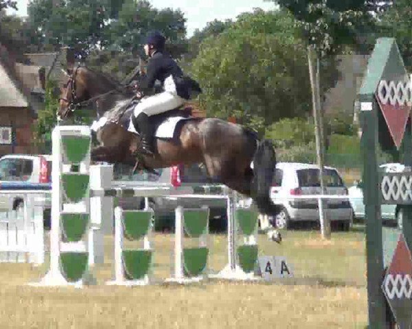 Trakehnerhof Valluhn Vielseitigkeitsturnier
03.-04.08.2013 02 Vielseitigkeitsprüfung KL. L - Springen
