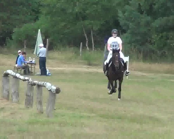 Trakehnerhof Valluhn Vielseitigkeitsturnier
03.-04.08.2013 01 Vielseitigkeitsprüfung KL. A** - Gelände

