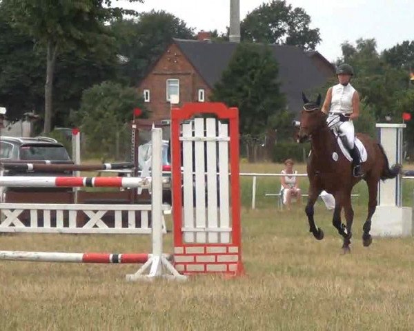 Trakehnerhof Valluhn Vielseitigkeitsturnier
03.-04.08.2013 02 Vielseitigkeitsprüfung KL. L - Springen
