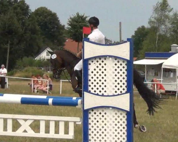 Trakehnerhof Valluhn Vielseitigkeitsturnier
03.-04.08.2013 01 Vielseitigkeitsprüfung KL. A** - Springen
