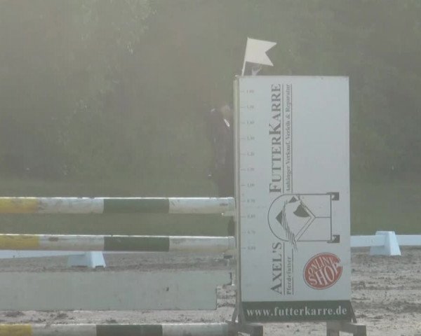 Video of Plutz N.W.
