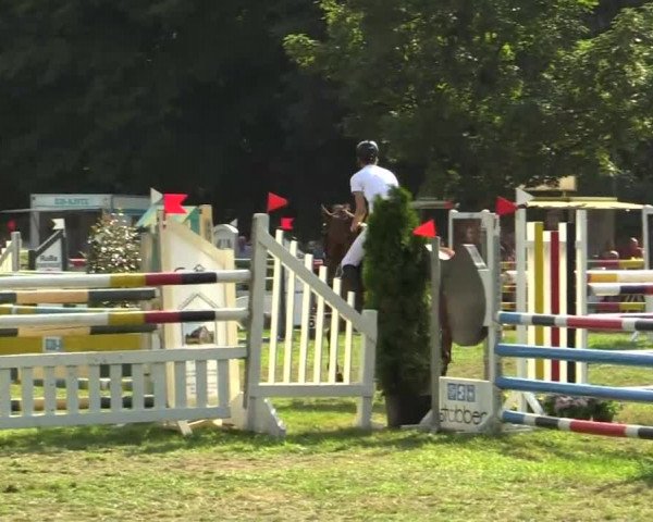Video of filou-1663