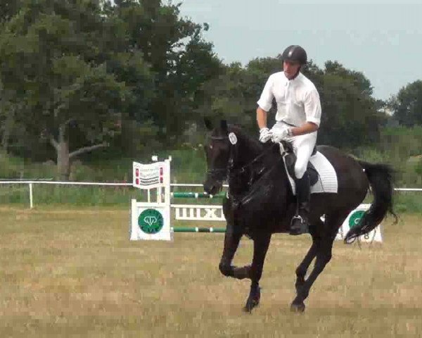 Trakehnerhof Valluhn Vielseitigkeitsturnier
03.-04.08.2013 01 Vielseitigkeitsprüfung KL. A** - Springen
