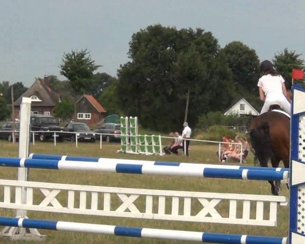 Trakehnerhof Valluhn Vielseitigkeitsturnier
03.-04.08.2013 01 Vielseitigkeitsprüfung KL. A** - Springen
