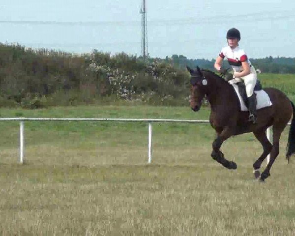 Trakehnerhof Valluhn Vielseitigkeitsturnier
03.-04.08.2013 01 Vielseitigkeitsprüfung KL. A** - Springen
