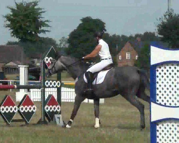 Trakehnerhof Valluhn Vielseitigkeitsturnier
03.-04.08.2013 01 Vielseitigkeitsprüfung KL. A** - Springen
