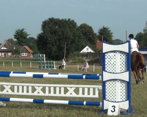 Trakehnerhof Valluhn Vielseitigkeitsturnier
03.-04.08.2013 01 Vielseitigkeitsprüfung KL. A** - Springen

