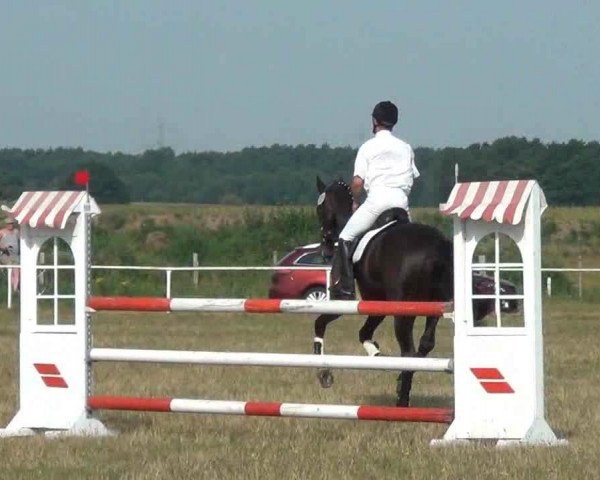 Trakehnerhof Valluhn Vielseitigkeitsturnier
03.-04.08.2013 01 Vielseitigkeitsprüfung KL. A** - Springen
