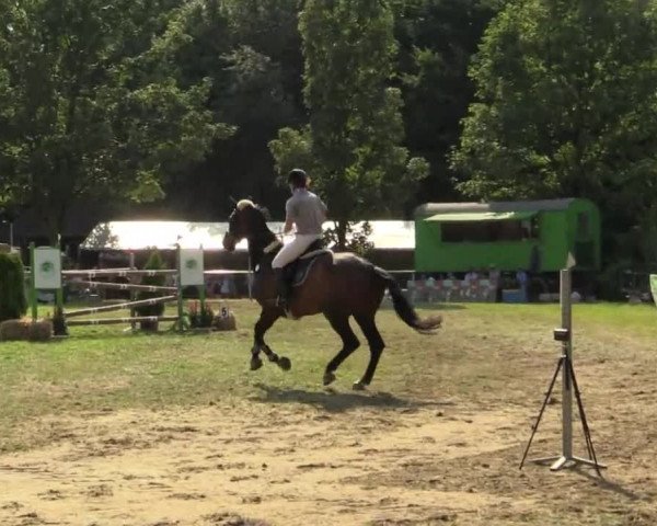 Kevelaer-Wetten 2013 21.07.2013
28 Springprüfung Kl. M* 