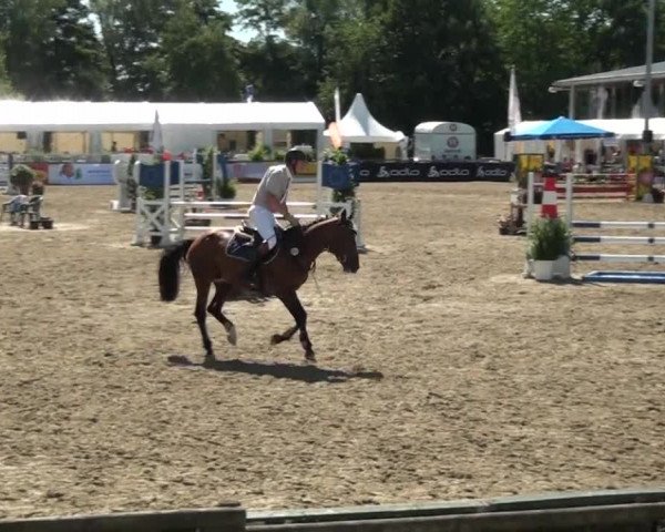 60. Lobbericher Reitsportfestival 01.-04.08.2013 01.08.2013
02 Springpferdeprüfung Kl. A**

