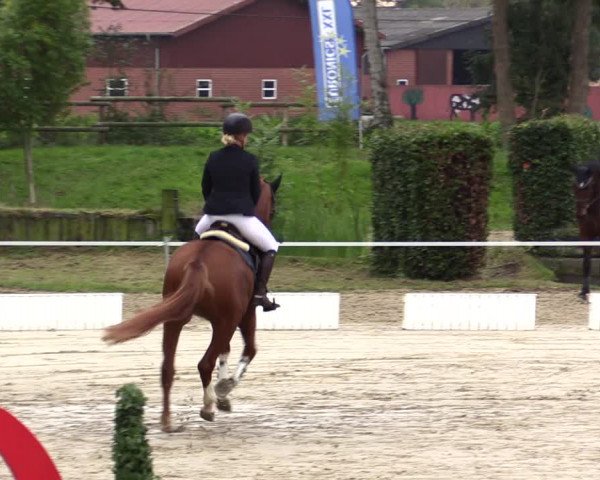 Springturnier Lüdinghausen 2021