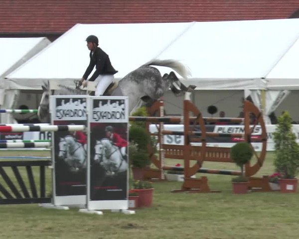 Video of caspar-m-2