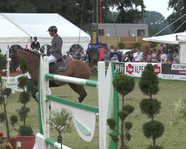 Video von carrico