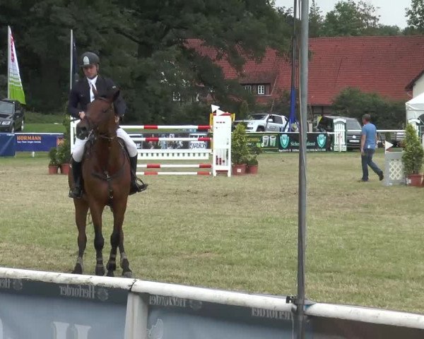 Video koně lucy-405