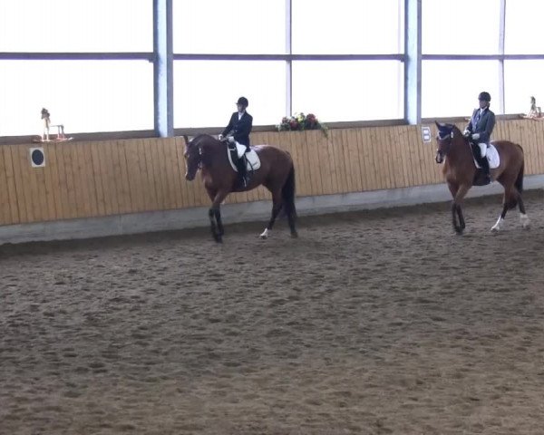 Video of Soledad, Rio 258, Szafir 2