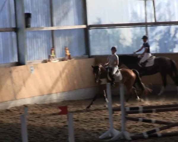 Video di Forget me never WK, Finnley