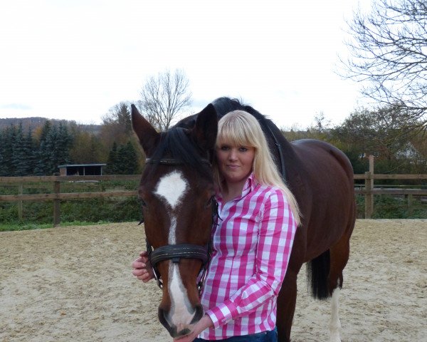 jumper Carlo 290 (Westphalian, 2002, from Cordobes I) jumper Carlo 290 (Westphalian, 2002, from Cordobes I)