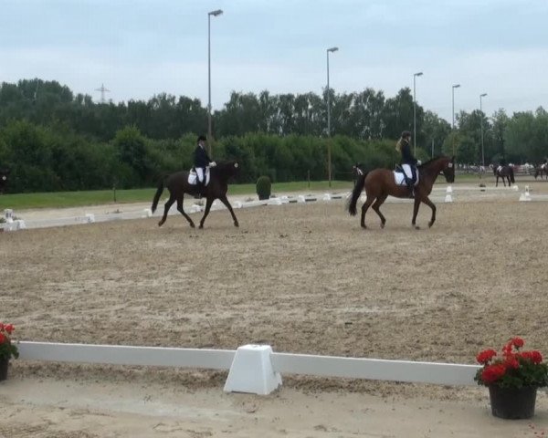 Video of Don't Worry 24, Docmello