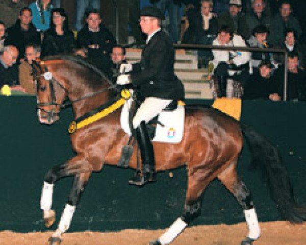 dressage horse Alberto Thomba (Württemberger, 2004, from Acordelli)